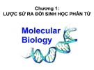 Bài giảng Sinh học phân tử: Chương 1