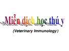 Bài giảng Miễn dịch học thú y: Chương 7