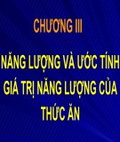 Bài giảng Dinh dưỡng động vật: Chương 3 - TS. Lê Việt Phương