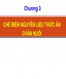 Bài giảng Công nghệ sản suất thức ăn công nghiệp: Chương 3 - TS. Lê Việt Phương