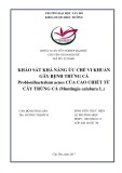 Khóa luận tốt nghiệp Dược sĩ Đại học: Khảo sát khả năng ức chế vi khuẩn gây bệnh mụn trứng cá Propionibacterium acnes của cao chiết từ cây Trứng cá (Muntingia calabura L.)