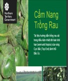  cẩm nang trồng rau