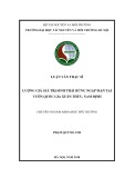 Luận văn Thạc sĩ Khoa học môi trường: Lượng giá kinh tế hệ sinh thái rừng ngập mặn khu vực ven biển trong bối cảnh biến đổi khí hậu nhằm phục vụ công tác quản lý về bảo tồn đa dạng sinh học, nghiên cứu điển hình tại khu vực cửa Ba Lạt, Nam Định