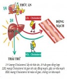 Bài giảng Sinh lý học - Bài 5: Sinh lý chuyển hóa chất, năng lượng