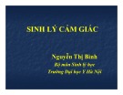 Bộ môn Sinh lý học: Sinh lý cảm giác - Nguyễn Thị Bình