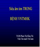 Bài giảng Siêu âm tim trong bệnh VNTMHK - TS.BS Phạm Thị Hồng Thi