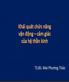 Bài giảng Khái quát chức năng vận động - cảm giác của hệ thần kinh - TS.BS Mai Phương Thảo