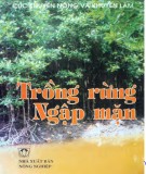  trồng rừng ngập mặn: phần 2