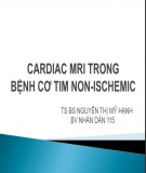 Bài giảng Cardiac MRI trong bệnh cơ tim non-ischemic - TS. BS Nguyễn Thị Mỹ Hạnh