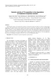 Catalytic activity of TiO2/sepiolites in the degradation of rhodamine B aqueous solution