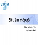 Bài giảng Siêu âm khớp gối - Giáo sư James Teh