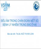 Bài giảng Siêu âm trong chẩn đoán một số bệnh lý nhiễm trùng bào thai - Ths.BS. Ngô Thị Kim Loan