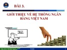 Bài giảng Nhập môn ngành Tài chính - Ngân hàng: Bài 3 - ThS. Lê Thị Minh Nguyên