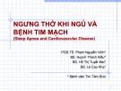 Ngưng thở khi ngủ và bệnh tim mạch (sleep apnea and cardiovascular disease)