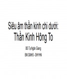 Bài giảng Siêu âm thần kinh chi dưới: Thần kinh hông to - BS. Tạ Ngân Giang