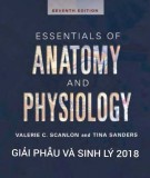  essentials of  anatomy and physiology: phần 2