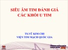 Siêu âm tim đánh giá các khối u tim - Vũ Kim Chi