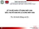 Kỹ thuật khâu cố định mép van điều trị hở van hai lá vùng mép van