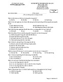 Đề thi thử THPT Quốc gia lần 1 môn Lịch sử lớp 10 năm 2018-2019 - THPT Ngô Sĩ Liên - Mã đề 132