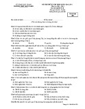 Đề thi thử THPT Quốc gia lần 1 môn Lịch sử lớp 10 năm 2018-2019 - THPT Ngô Sĩ Liên - Mã đề 209