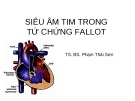 Bài giảng bộ môn Siêu âm tim: Siêu âm tim trong tứ chứng Fallot