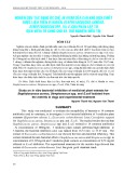 Nghiên cứu tác dụng ức chế in vitro của cao khô dịch chiết dược liệu trên vi khuẩn Staphylococcus aureus, Streptococcus spp. và E. Coli phân lập từ dịch viêm tử cung chó và thử nghiệm điều trị