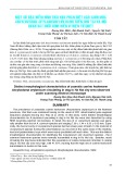 Một số đặc điểm hình thái học phân biệt loài giun móc Ancylostoma ceylanicum lưu hành trên chó tại Hà Nội quan sát dưới kính hiển vi điện tử quét