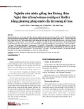 Nghiên cứu nhân giống lan Hoàng thảo Nghệ tâm (Dendrobium loddigesii Rolfe) bằng phương pháp nuôi cấy lát mỏng tế bào