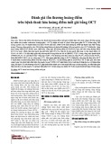 Đánh giá tổn thương hoàng điểm trên bệnh thoái hóa hoàng điểm tuổi già bằng OCT