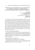 Tính đa dạng về thành phần loài và giá trị sử dụng của chi quế (cinnamomum) và chi bời lời (litsea) họ long não (lauraceae juss.) ở Vườn Quốc gia Bạch Mã