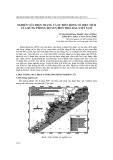 Nghiên cứu hiện trạng và sự biến động về diện tích của rừng phòng hộ ven biển phía bắc Việt Nam