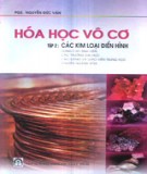 Kiến thức Hóa học vô cơ (Tập 2 - Các kim loại điển hình): Phần 2