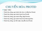 Bài giảng Chuyển hóa Protid (51 trang)