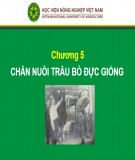 Bài giảng Chương 5: Chăn nuôi trâu bò đực giống