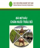 Bài giảng Chăn nuôi trâu bò - Bài mở đầu