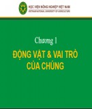 Bài giảng Nhập môn chăn nuôi - Chương 1: Động vật và vai trò của chúng