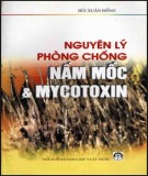 Nấm mốc và mycotoxin - Nguyên lý phòng chống: Phần 2