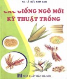 Kỹ thuật trồng các giống ngô mới: Phần 2