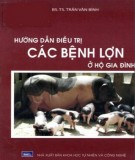 Bệnh lợn ở hộ gia đình và các hướng dẫn điều trị: Phần 1