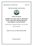 Tóm tắt Luận án Tiến sĩ Dược học: Nghiên cứu bào chế và sinh khả dụng viên nén metronidazol giải phóng tại đại tràng