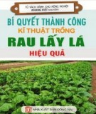 Kỹ thuật trồng rau lấy lá hiệu quả và các bí quyết thành công: Phần 2