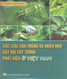 Các loại côn trùng nhỏ gây hại cho cây trồng và phát hiện ở Việt Nam (Quyển 1): Phần 1