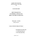 Luận văn Tiến sĩ Cơ học kỹ thuật: Phân tích đáp ứng của profile cánh máy bay theo cách tiếp cận đối ngẫu