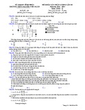Đề thi KSCL môn Sinh học lớp 12 năm 2018-2019 lần 3 - THPT Nguyễn Viết Xuân - Mã đề 304
