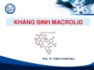 Bài giảng Kháng sinh macrolid