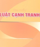 Tìm hiểu về Luật cạnh tranh năm 2004: Phần 2