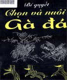 Gà đá - Các bí quyết chọn và nuôi: Phần 2