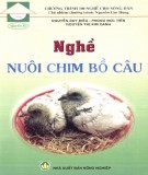 Giới thiệu về nghề nuôi chim bồ câu: Phần 2