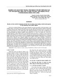 Nghiên cứu giải pháp phòng trừ bệnh thối rễ trên một số cây ăn quả đặc sản (cây có múi, vú sữa, sầu riêng và ổi) ở Đồng bằng Sông Cửu Long