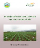 Lạc, đậu tương, mía và kỹ thuật trồng xen canh luân canh